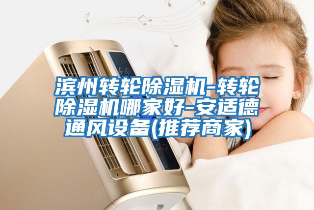 濱州轉(zhuǎn)輪除濕機-轉(zhuǎn)輪除濕機哪家好-安適德通風設備(推薦商家)