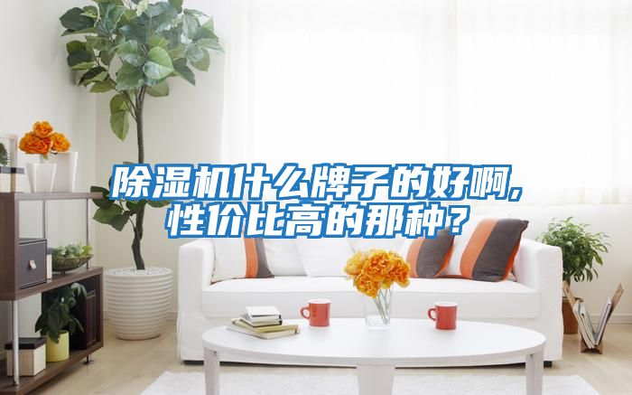 除濕機什么牌子的好啊,性價比高的那種？