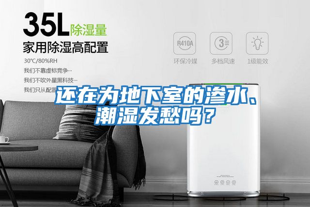 還在為地下室的滲水、潮濕發愁嗎？