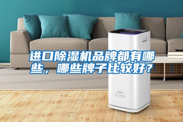 進口除濕機品牌都有哪些，哪些牌子比較好？