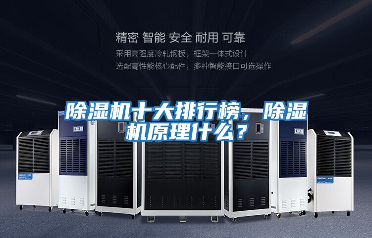 除濕機(jī)十大排行榜，除濕機(jī)原理什么？