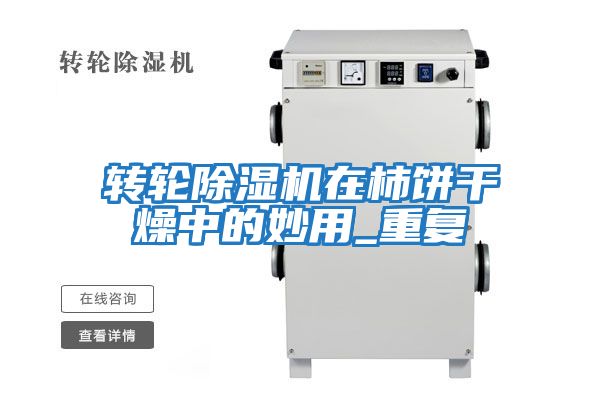 轉(zhuǎn)輪除濕機在柿餅干燥中的妙用_重復(fù)