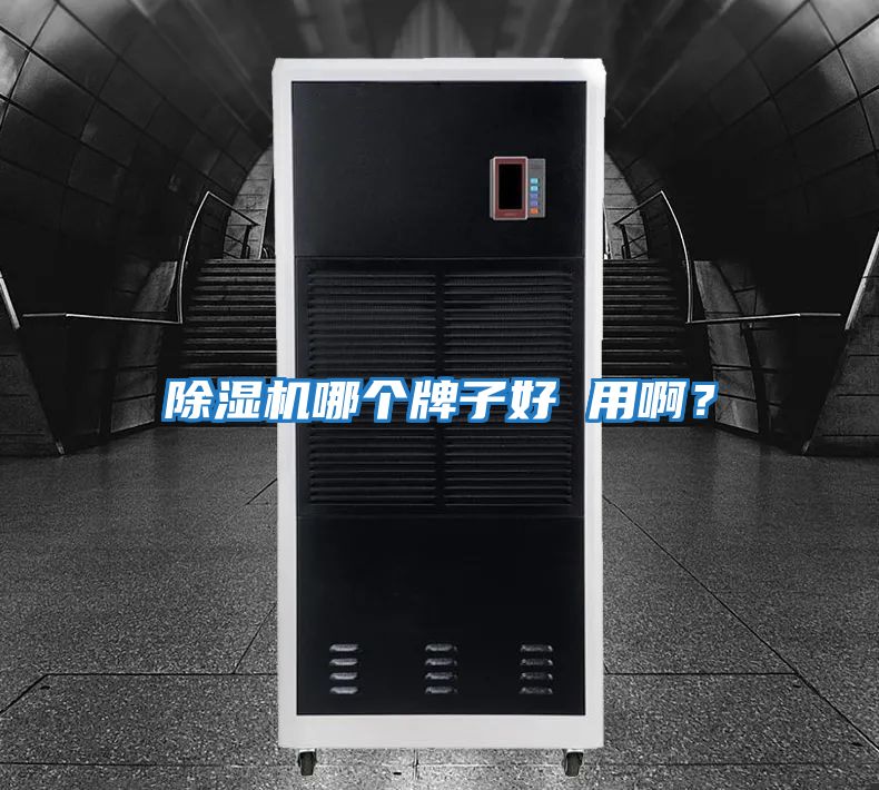 除濕機(jī)哪個(gè)牌子好 用啊？