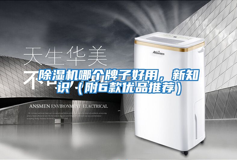 除濕機哪個牌子好用，新知識（附6款優(yōu)品推薦）