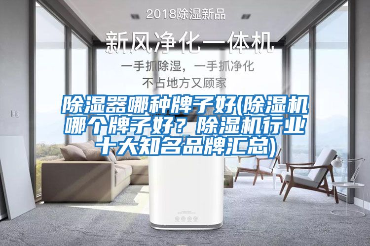 除濕器哪種牌子好(除濕機(jī)哪個(gè)牌子好？除濕機(jī)行業(yè)十大知名品牌匯總)