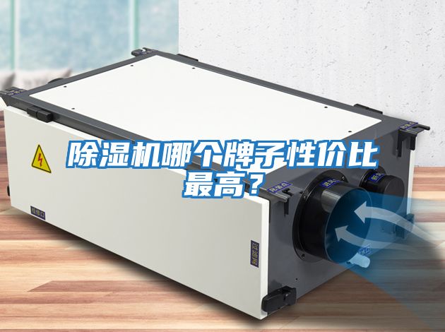 除濕機(jī)哪個(gè)牌子性價(jià)比最高？
