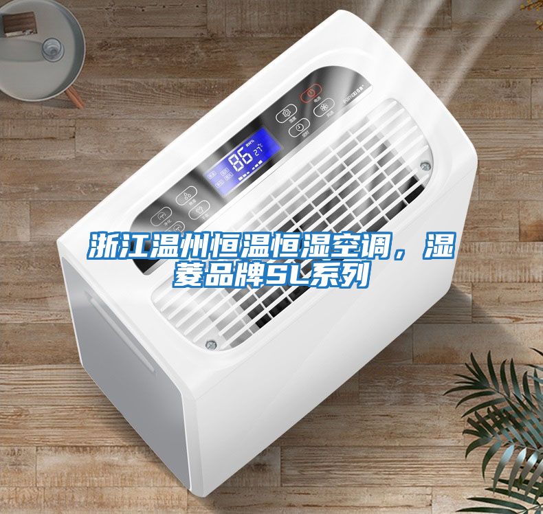 浙江溫州恒溫恒濕空調，濕菱品牌SL系列