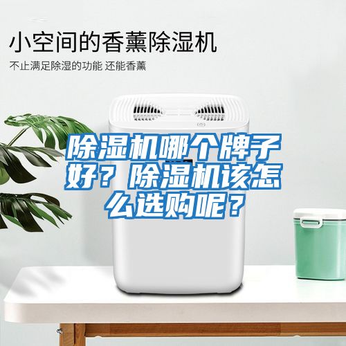 除濕機(jī)哪個(gè)牌子好？除濕機(jī)該怎么選購呢？