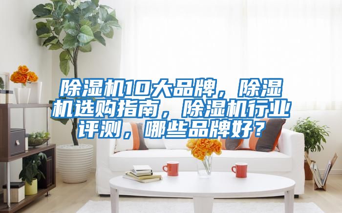 除濕機10大品牌，除濕機選購指南，除濕機行業評測，哪些品牌好？