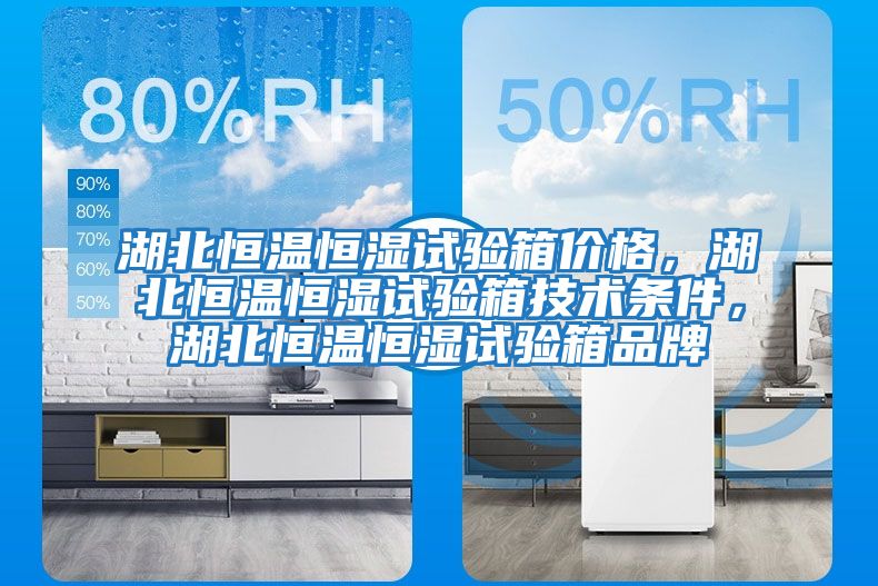 湖北恒溫恒濕試驗箱價格，湖北恒溫恒濕試驗箱技術(shù)條件，湖北恒溫恒濕試驗箱品牌