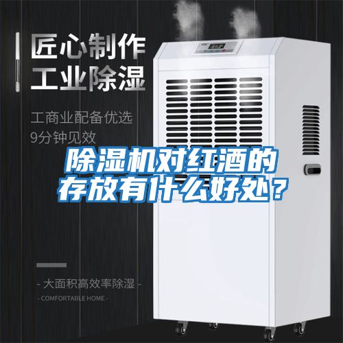 除濕機對紅酒的存放有什么好處？