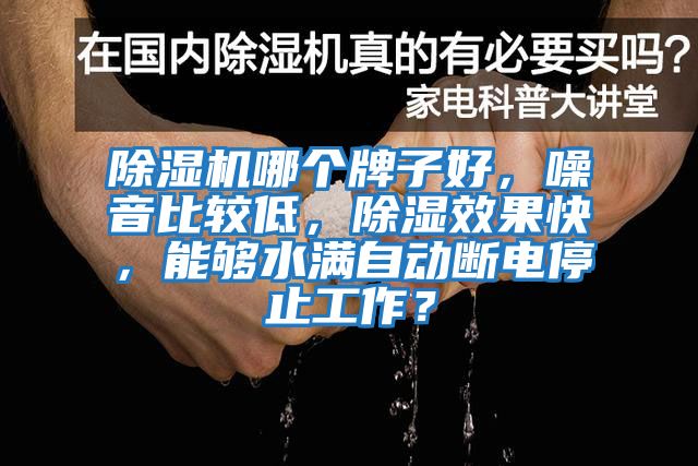 除濕機(jī)哪個牌子好，噪音比較低，除濕效果快，能夠水滿自動斷電停止工作？