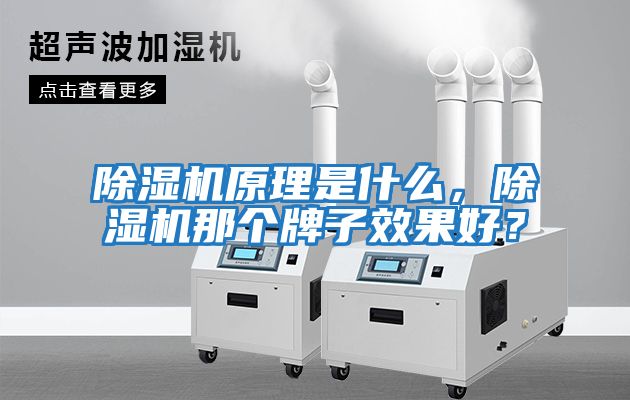 除濕機(jī)原理是什么，除濕機(jī)那個牌子效果好？