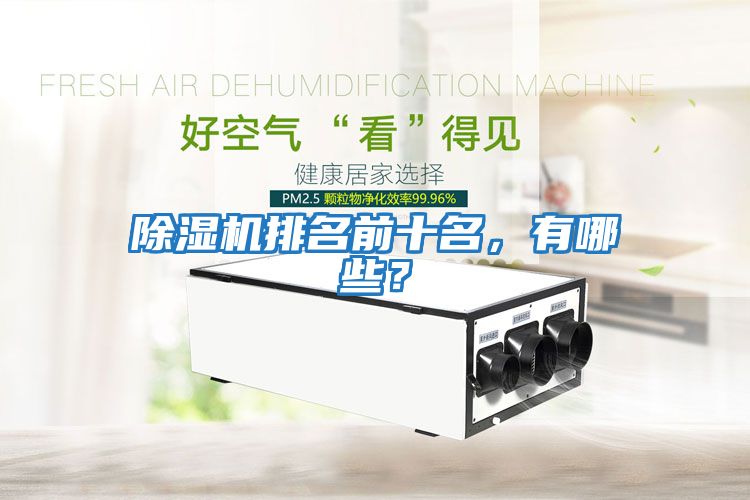 除濕機排名前十名，有哪些？