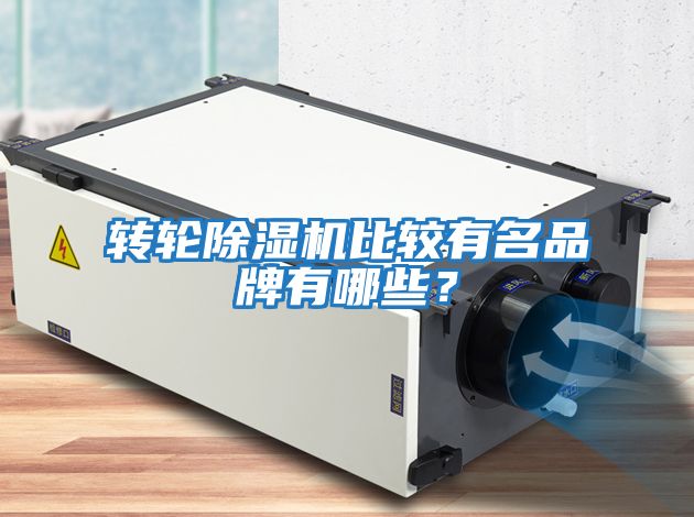 轉輪除濕機比較有名品牌有哪些？