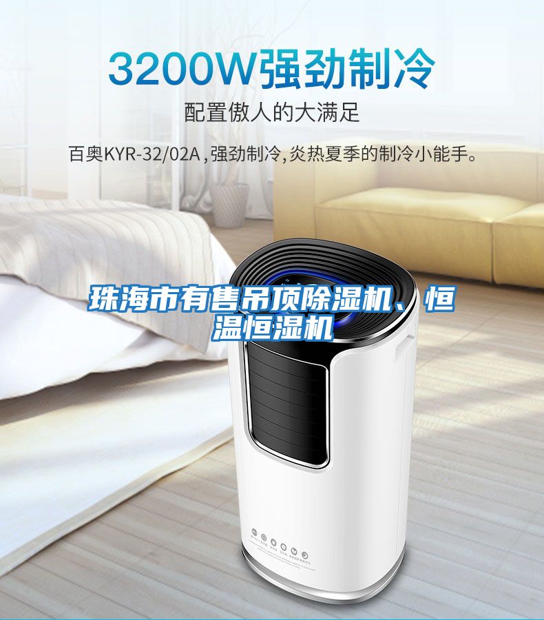 珠海市有售吊頂除濕機、恒溫恒濕機