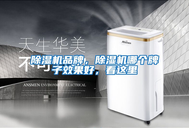 除濕機品牌，除濕機哪個牌子效果好，看這里