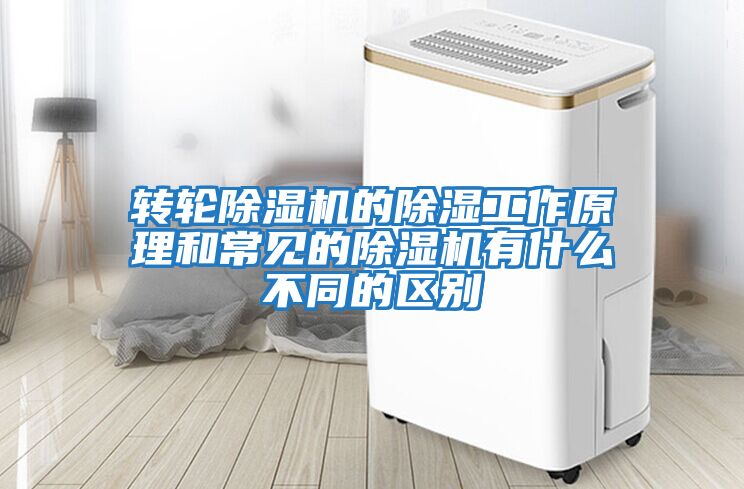 轉(zhuǎn)輪除濕機(jī)的除濕工作原理和常見(jiàn)的除濕機(jī)有什么不同的區(qū)別