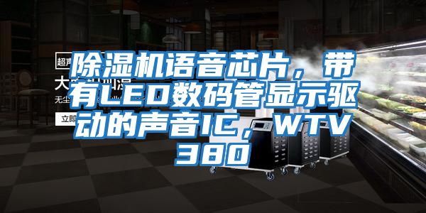 除濕機語音芯片，帶有LED數(shù)碼管顯示驅(qū)動的聲音IC，WTV380