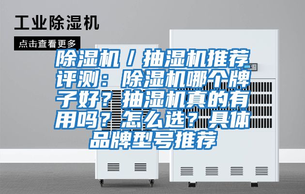 除濕機／抽濕機推薦評測：除濕機哪個牌子好？抽濕機真的有用嗎？怎么選？具體品牌型號推薦
