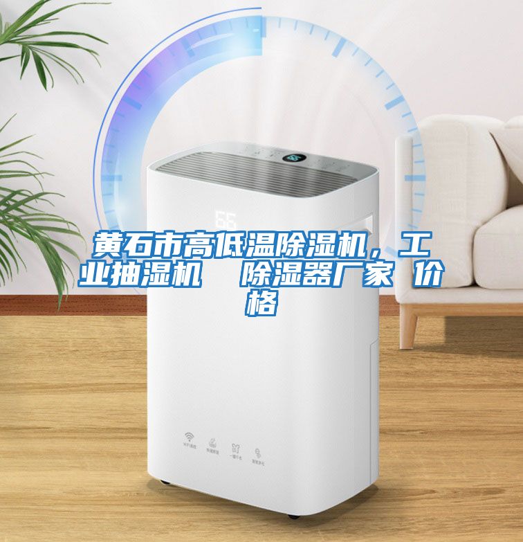 黃石市高低溫除濕機，工業抽濕機  除濕器廠家 價格